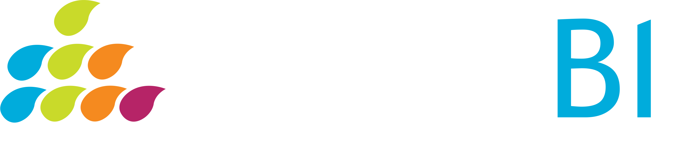 SplashBI