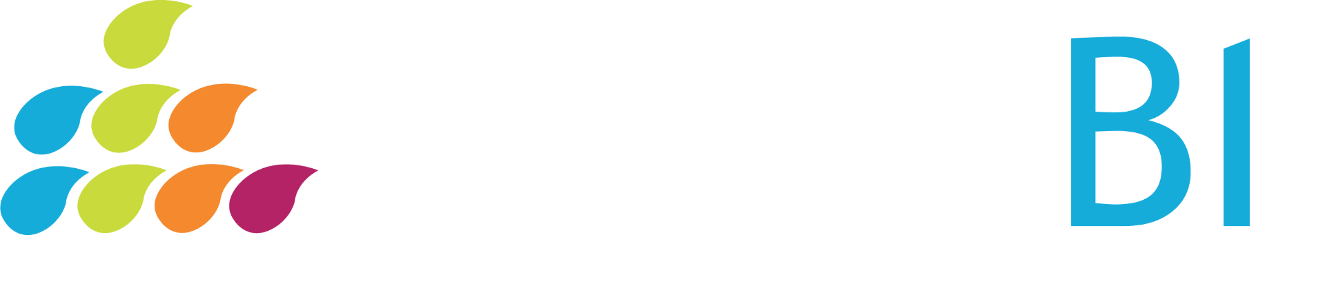 SplashBI