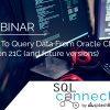 How To Query Data From Oracle Cloud Fusion 21C (and future versions) 4